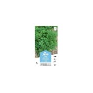 Persil frisé XXL (sachet)