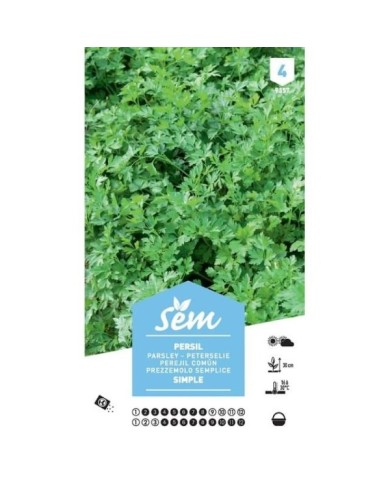 Persil simple XXL (sachet)