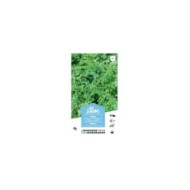 Persil simple XXL (sachet)