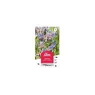 Bourrache officinale (borago officinalis) (sachet)
