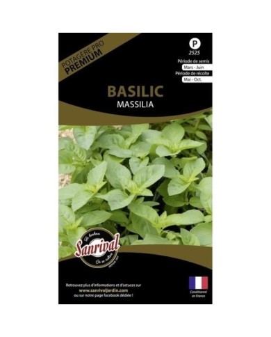 Basilic massilia (sachet)