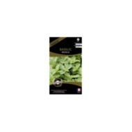 Basilic massilia (sachet)