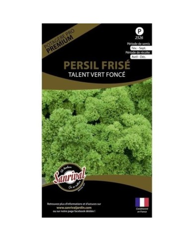 Persil frisé talent vert foncé (sachet)