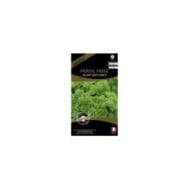 Persil frisé talent vert foncé (sachet)
