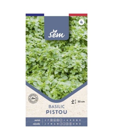 Basilic Pistou - sachet de graines