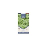 Basilic Pistou - sachet de graines