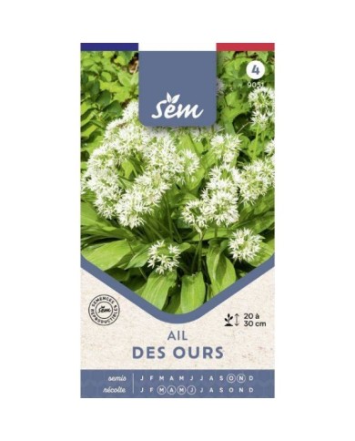 Ail des ours - sachet de graines