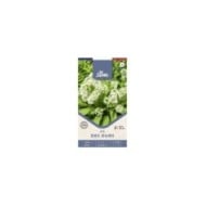 Ail des ours - sachet de graines