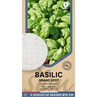 Basilic Grand Vert - 3 disques
