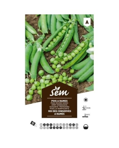 Pois Roi des conserves à rames (grain rond) (sachet)