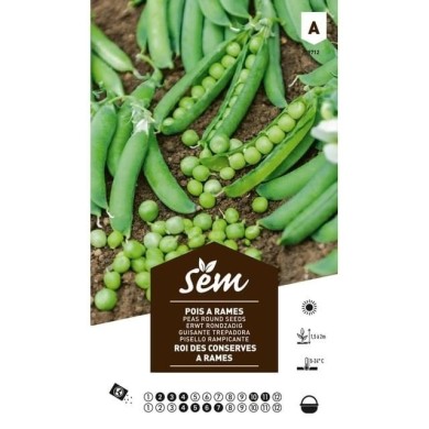 Pois Roi des conserves à rames (grain rond) (sachet)