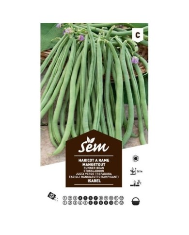 Haricot à rame mangetout Isabel (sachet)