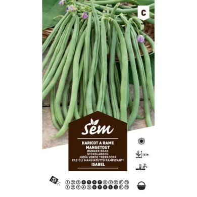 Haricot à rame mangetout Isabel (sachet)
