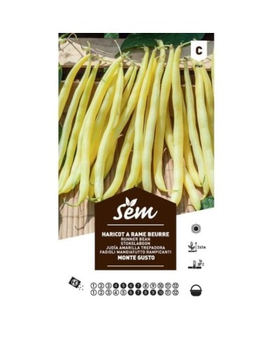Haricot à rame beurre Monte Gusto (sachet)