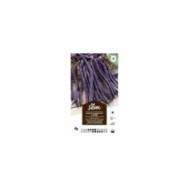 Haricot à rame mangetout violet Blauhilde (sachet)