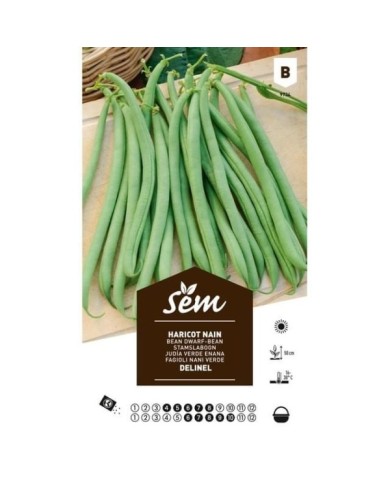 Haricot Delinel (sachet)