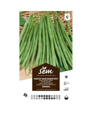 Haricot Dominal (Sansoucy) (sachet)