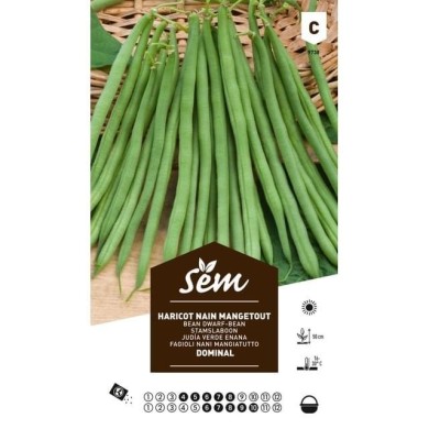 Haricot Dominal (Sansoucy) (sachet)