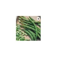 Haricot flageolet Chevrier vert