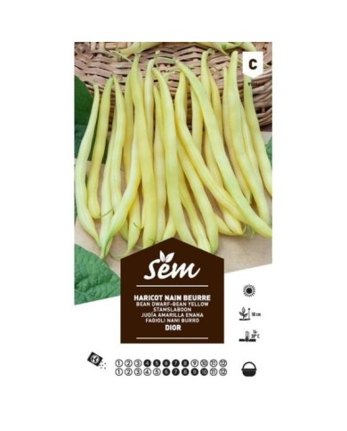 Haricot nain beurre Dior (sachet)