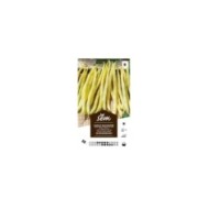 Haricot nain beurre Rocquencourt (sachet)