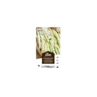 Haricot nain Coco blanc précoce (sachet)