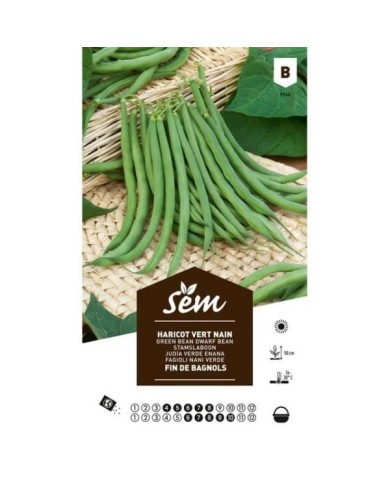Haricot nain fin de Bagnols (sachet)