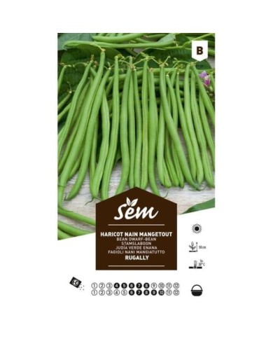 Haricot nain mangetout Rugally (sachet)