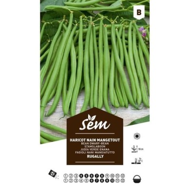Haricot nain mangetout Rugally (sachet)