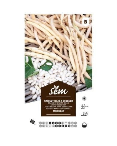 Haricot nain Michelet (sachet)