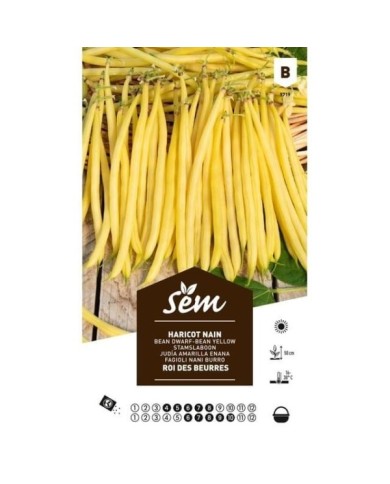 Haricot nain Roi des Beurres (sachet)