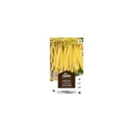 Haricot nain Roi des Beurres (sachet)