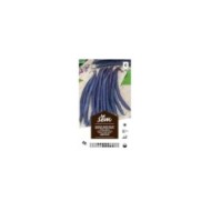 Haricot nain violet Améthyst (sachet)