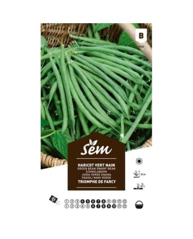 Haricot Triomphe de Farcy (sachet)
