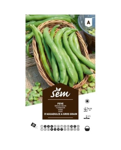 Fève Aguadulce à gros grain (sachet)