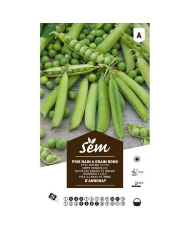 Pois à grain rond d'Annonay (sachet) (D.R. / Sanrival)
