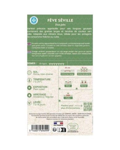 Fève Séville à longues cosses