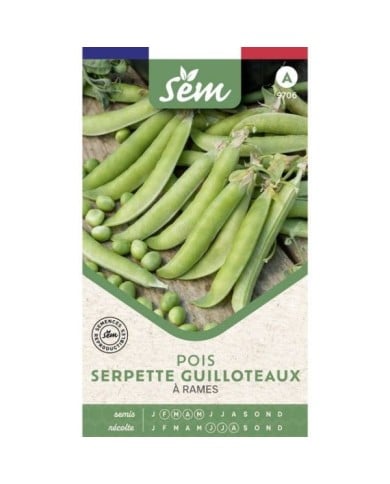 Pois à rames Serpette Guilloteaux