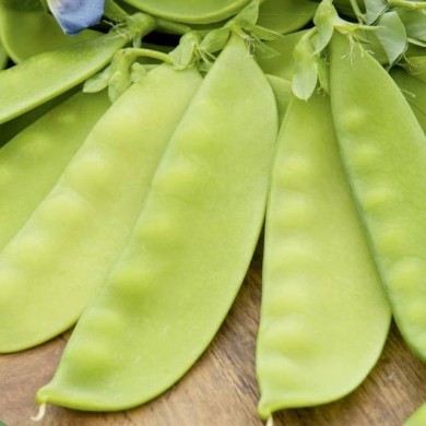 Pois Bamby mangetout