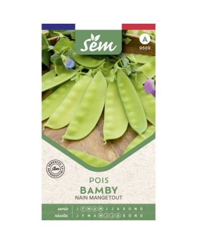 Pois Bamby mangetout