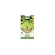 Pois Bamby mangetout