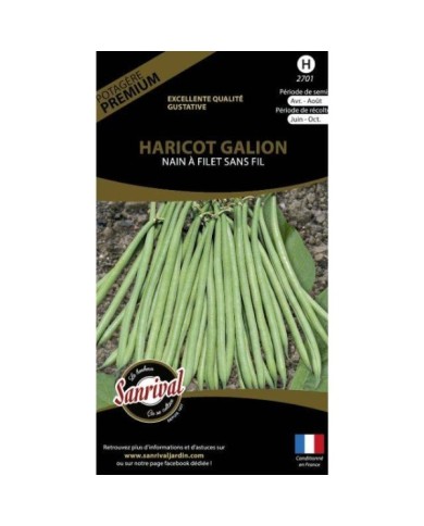 Haricot nain à filet sans fil Galion