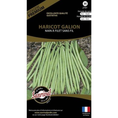 Haricot nain à filet sans fil Galion