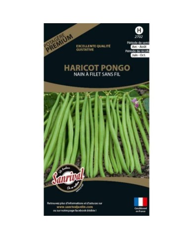 Haricot nain à filet sans fil Pongo