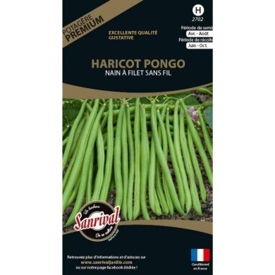 Haricot nain à filet sans fil Pongo