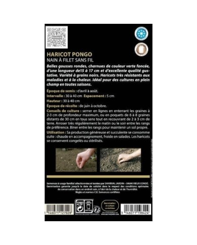Haricot nain à filet sans fil Pongo