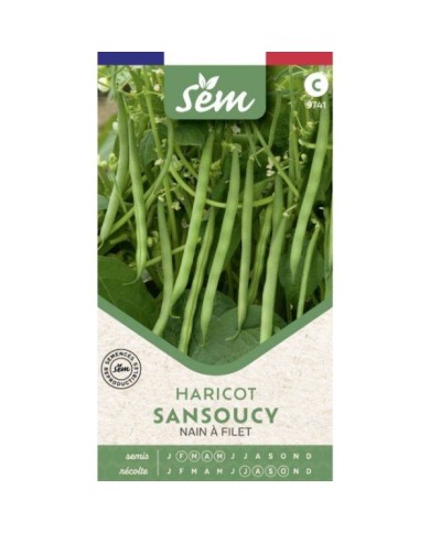 Haricot nain à filet Sancoucy