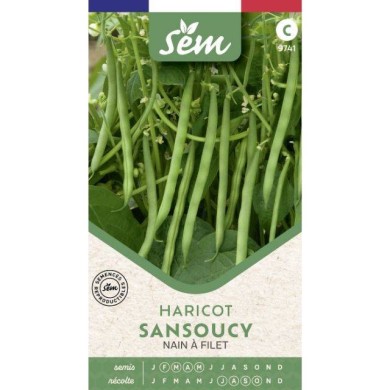 Haricot nain à filet Sancoucy