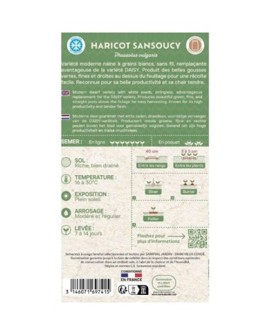 Haricot nain à filet Sancoucy