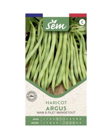 Haricot mangetout nain à filet Argus